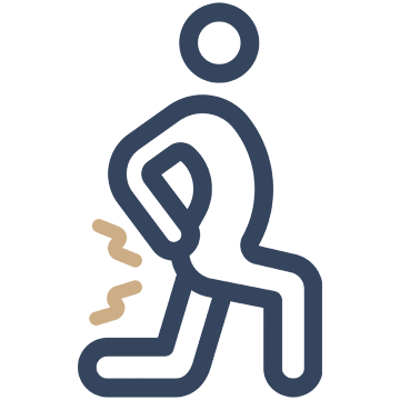 Disc Injuries Icon