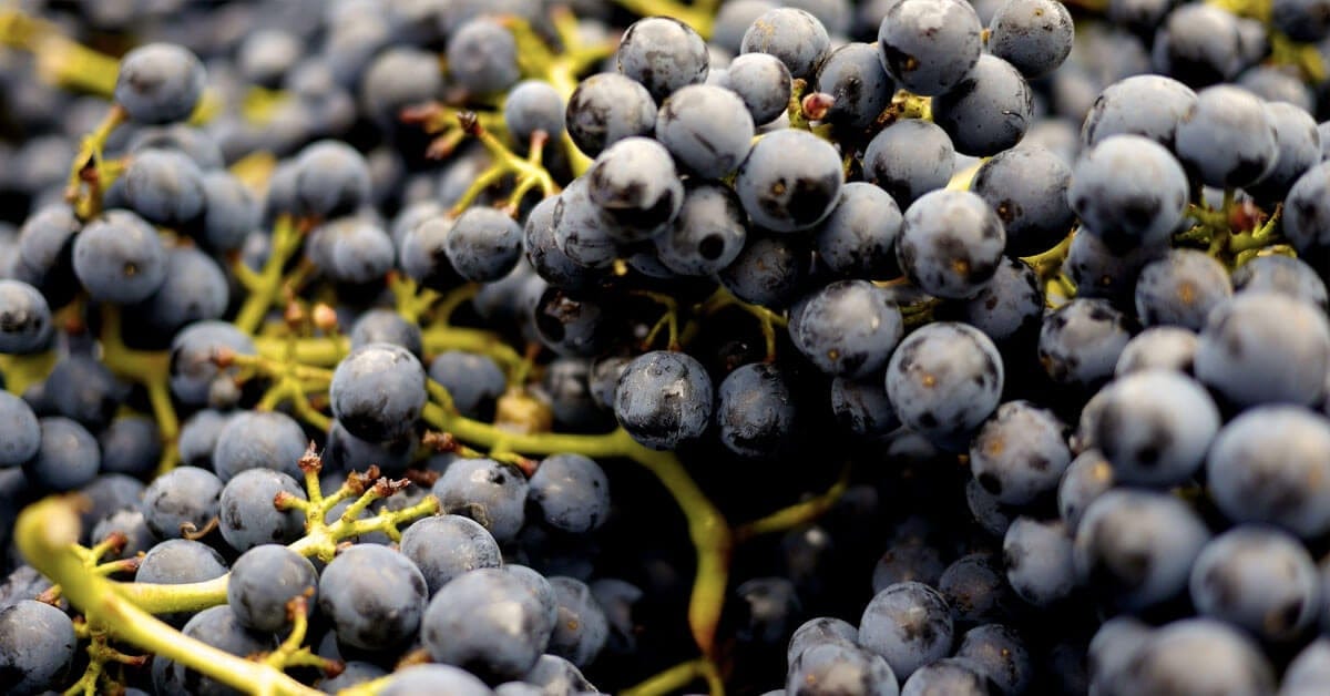PEMF Grapes