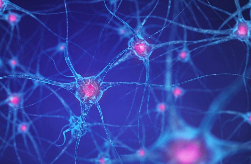 The Key to Staying Mentally Sharp is Not What You Think