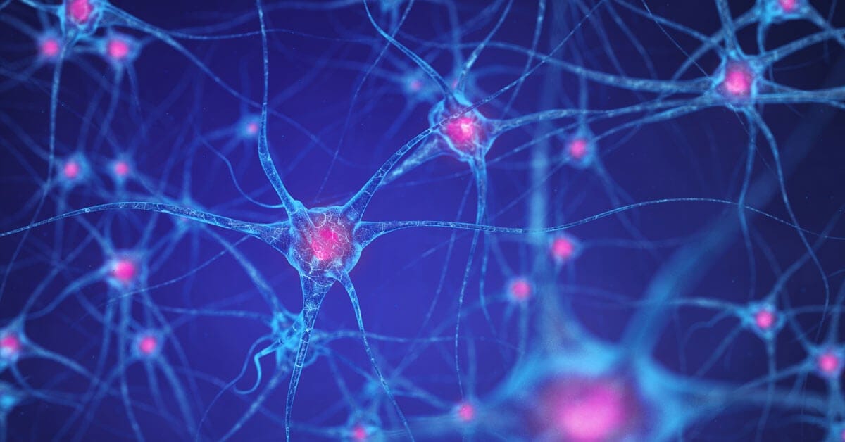 The Key to Staying Mentally Sharp is Not What You Think