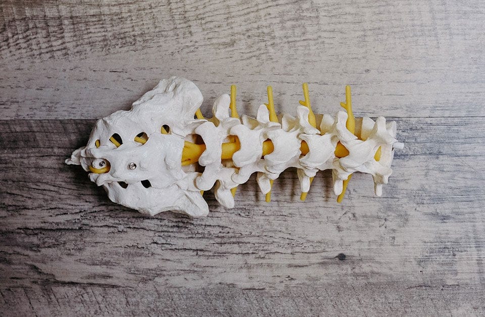 Spine Degeneration
