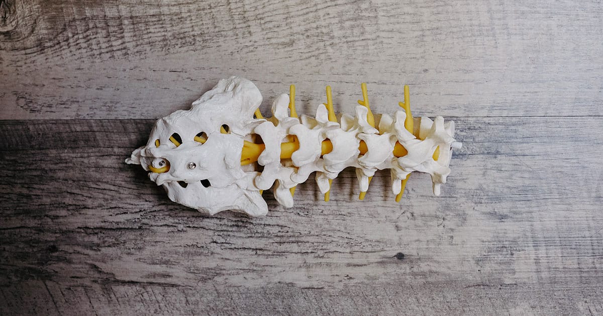 Spine Degeneration