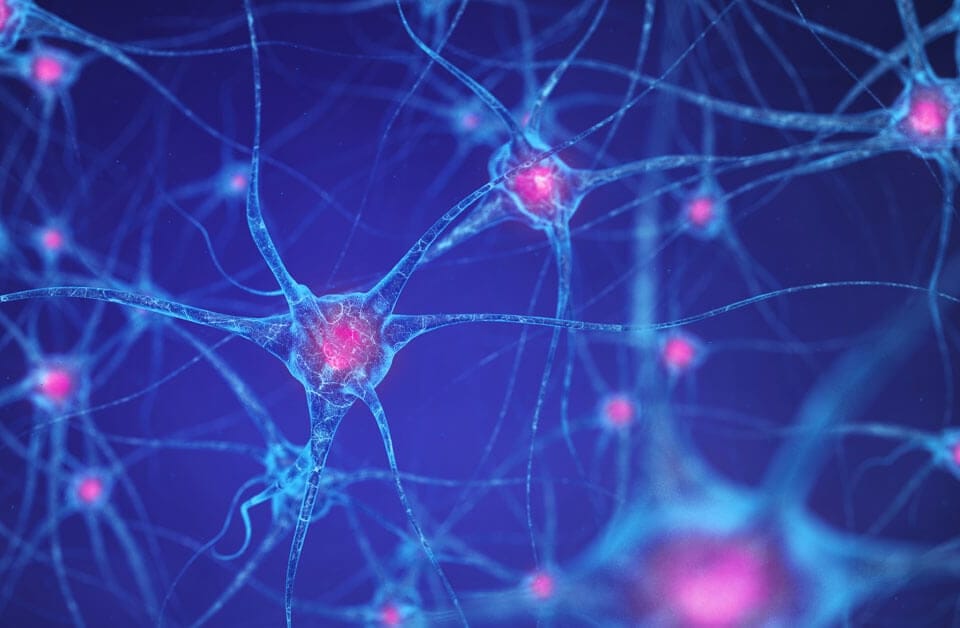 The Key to Staying Mentally Sharp is Not What You Think